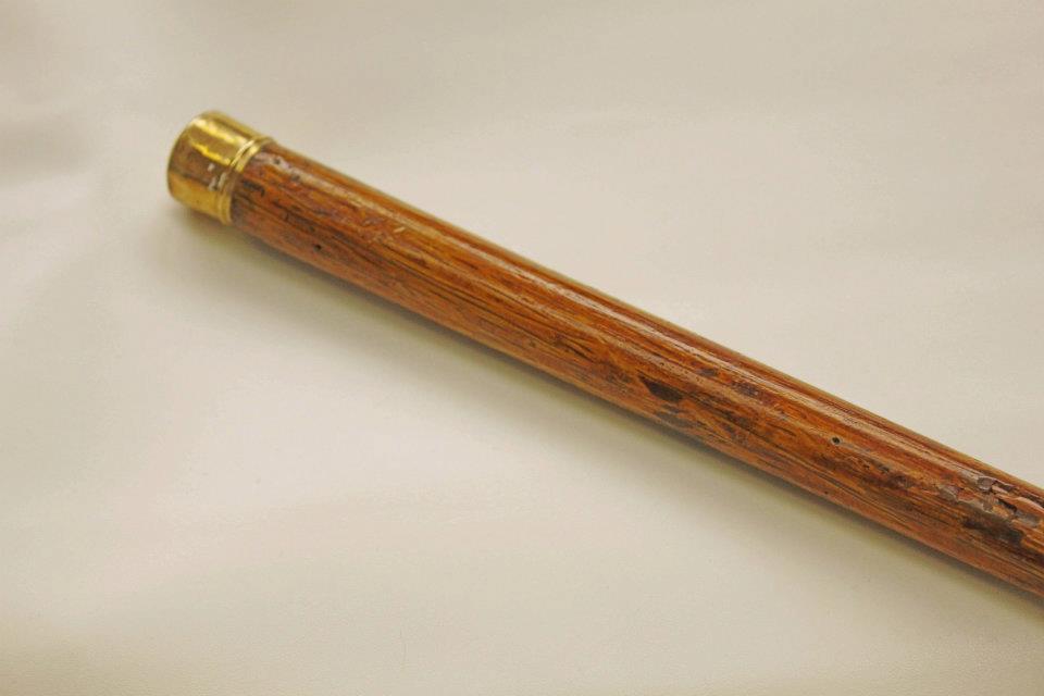 Fort Sumter Cane