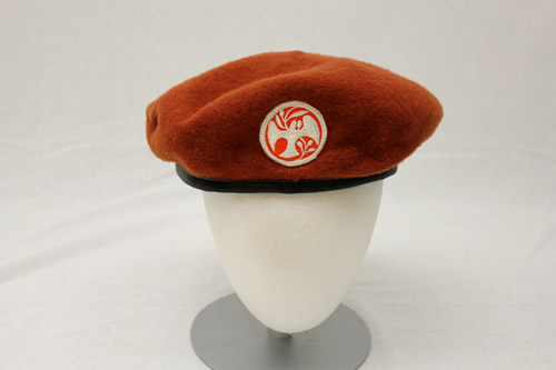 Multinational Force and Observers Beret - View 1