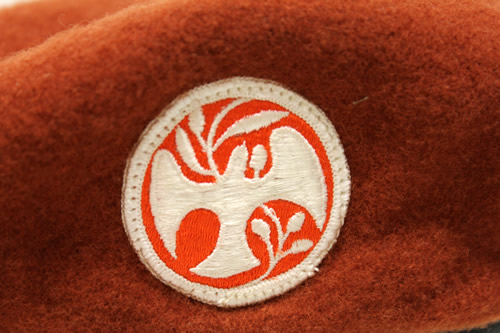 Multinational Force and Observers Beret - View 2