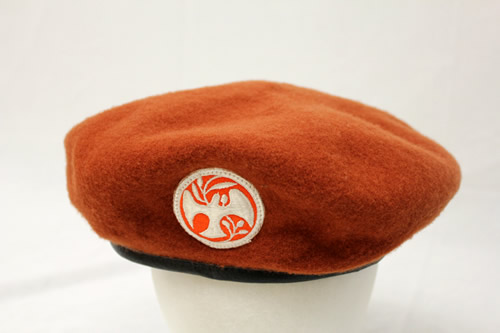 Multinational Force and Observers Beret - View 3